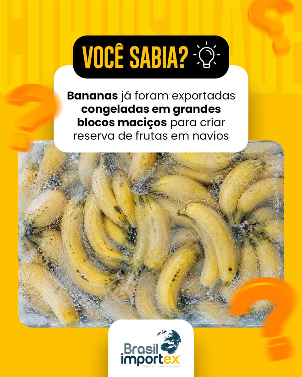 Brasil Importex 6